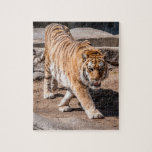 Tigersprung<br><div class="desc">Schönes Tigerfoto perfekt für ein Puzzle</div>