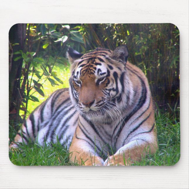 Tigerstillstehen Mousepad (Vorne)