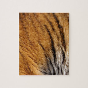 Tigerstreifen mit Fotos, die von den Großen Katzen