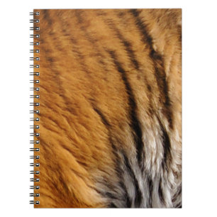 Tigerstreifen mit Fotos, die von den Großen Katzen Notizblock