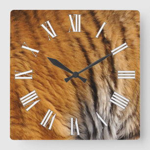 Tigerstreifen mit Fotos, die von den Großen Katzen Quadratische Wanduhr