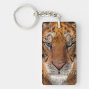 Tigre