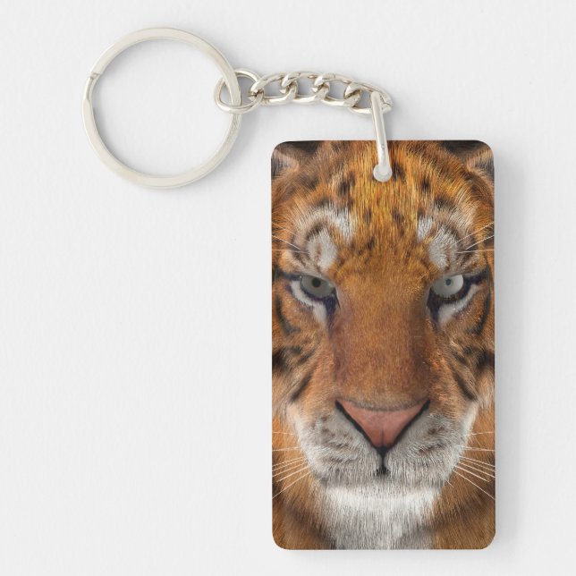 Tigre (Devant)