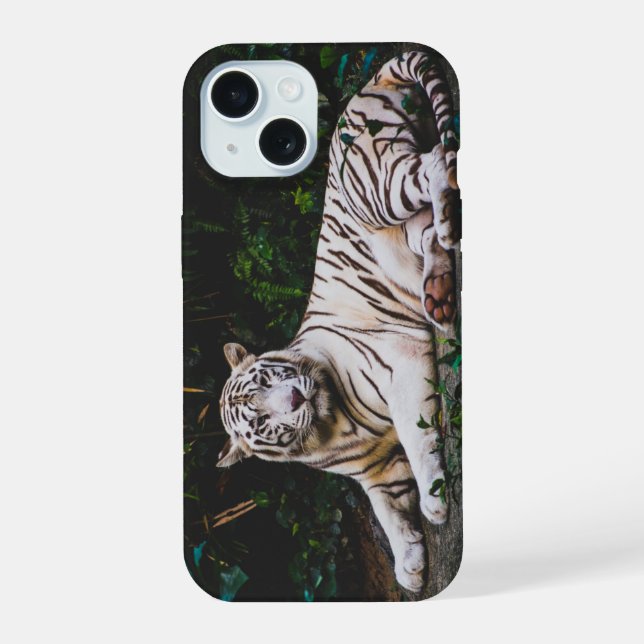 Tigre (Verso)