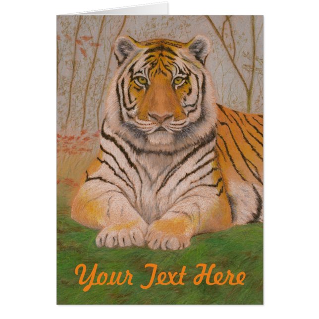 Tigre (Devant)