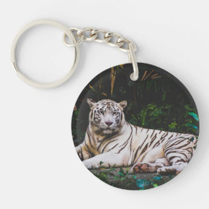 Tigre
