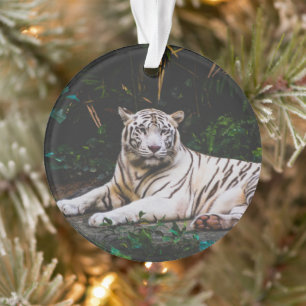 Tigre