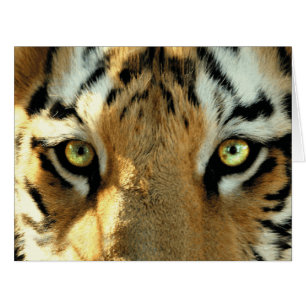 Tigre 1 - Carte de voeux