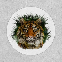 Tigre À Travers L'Herbe