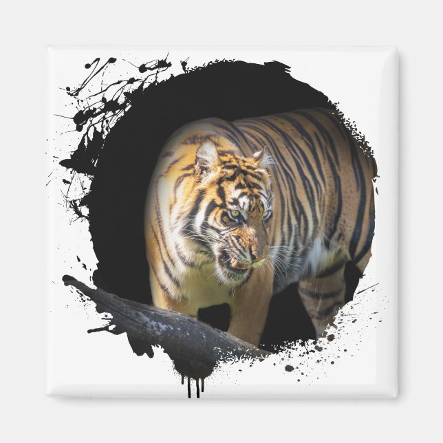 Tigre Animal Vie Sauvage Jungle Nature Liberté Magnet (Vorne)