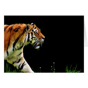 Tigre approchant - Oeuvres d'art d'animaux sauvage