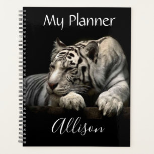 Tigre blanc