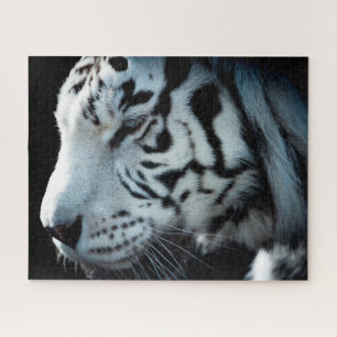Tigre blanc, puzzle