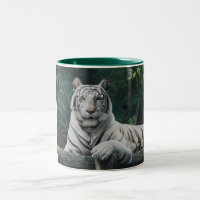 tigre blanco