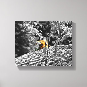 Tigre Cache-cache Toile 10x8