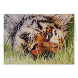Tigre de repos