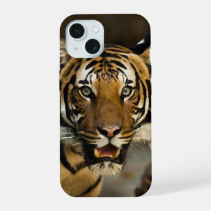Tigre de Sibérie
