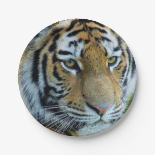 Tigre de Sibérie, Tigre de l'Amour Assiette en Pap