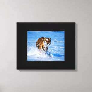 Tigre en toile