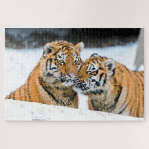 Tigre en train de se défoncer Cubs, puzzle
