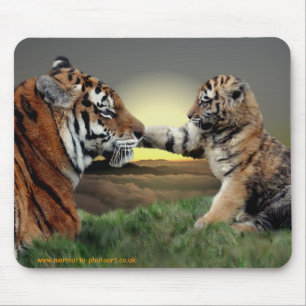 Tigre et tapis de souris de CUB