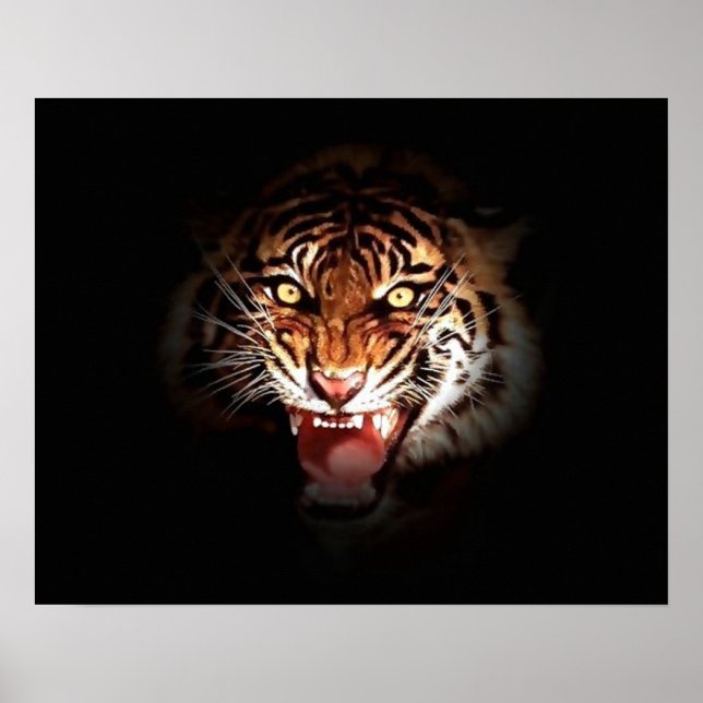 Tigre grinçant motivant dans l'ombre Poster Imprim (Devant)