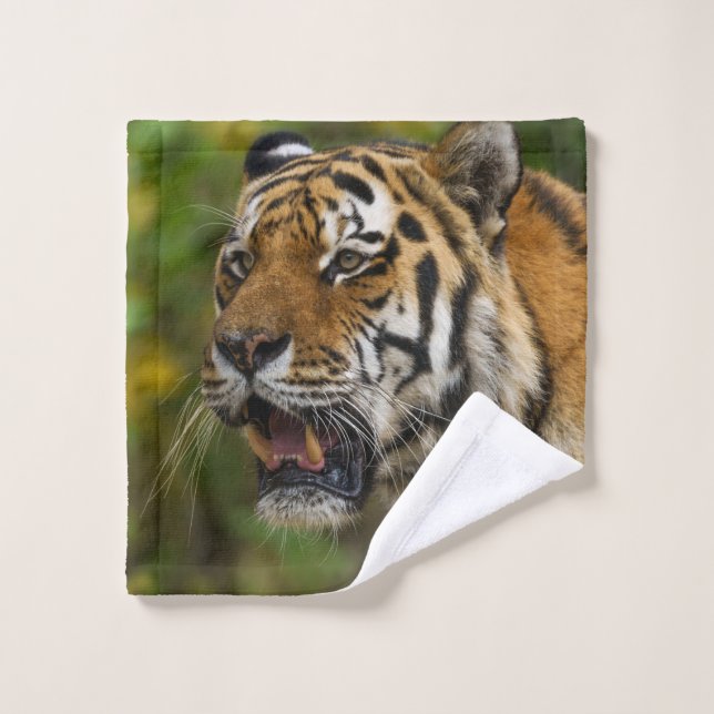 Tigre Montrant Ses Dents (Gant de toilette)