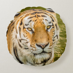 tigre sur coussin rond