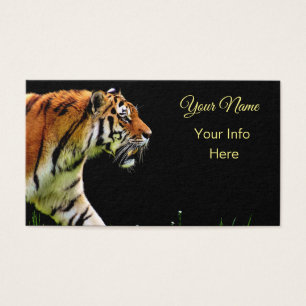 Tigre sur le vagabondage