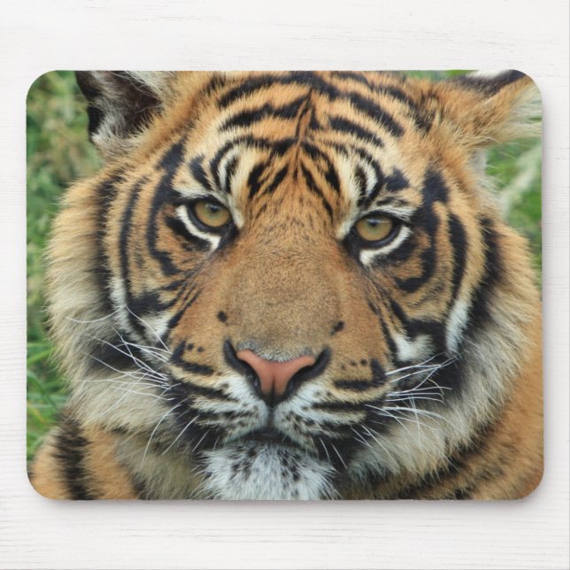 Tigre Tapis de souris (Devant)