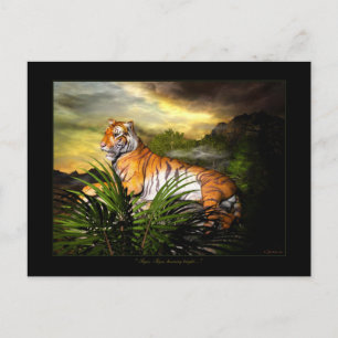 Tigre, Tigre, Gravure de carte postale