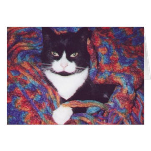 "Tiki en Afghan de Doug "