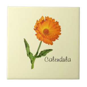 Tile - Calendula Fliese