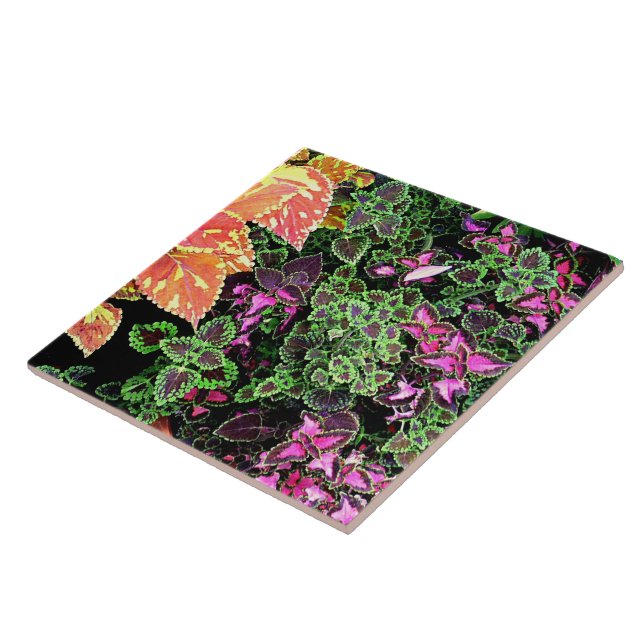TILE, DEKORATIVE "FARBIGE FARBE" FLIESE (Seite)
