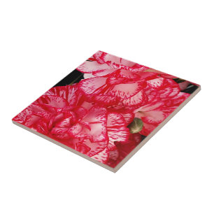 TILE Rote und Weiße Nelken KERAMIK Fliese