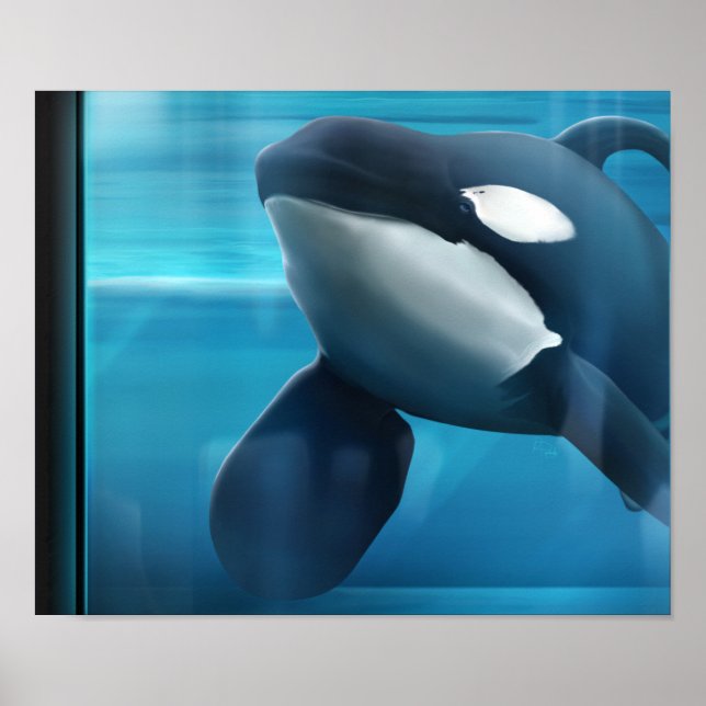 Tilikum-Portrait Poster (Vorne)