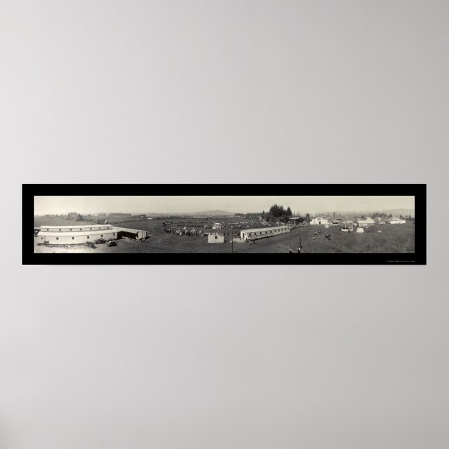 Tillamook Landkreis Fair Foto 1915 Poster (Vorne)
