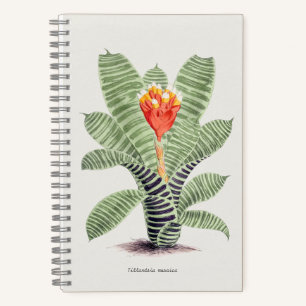Tillandsia Musaica Notizbuch