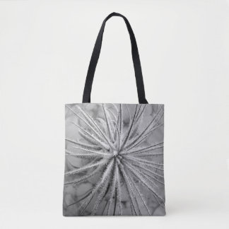 Tillandsia tectorum tasche