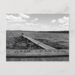 Tillie Postcards Postkarte