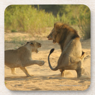 Timbavati Fluss, Kruger Nationalpark, der Limpopo Getränkeuntersetzer