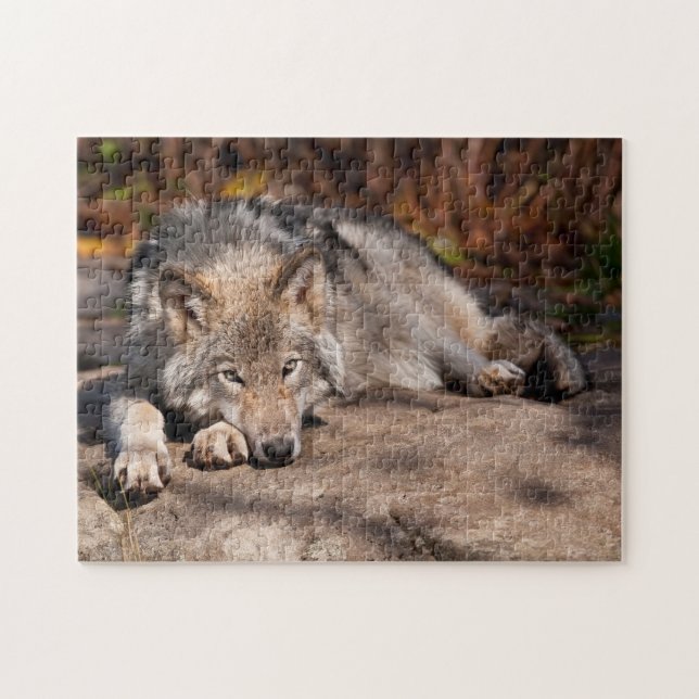 Timber Wolf (Horizontal)