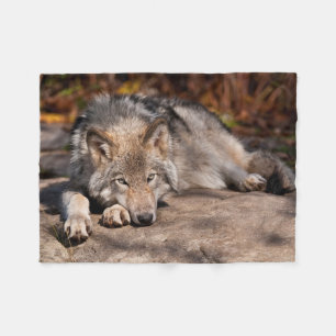 Timber Wolf Fleecedecke