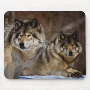 Timber Wolf Mouse Pad Mousepad