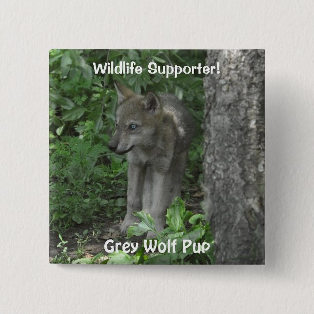 Timber Wolf Pup Wildlife ID Button (Vorderseite)