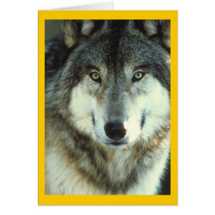 Timber Wolf von Junglewalk.com