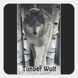 TIMBER WOLF Wildlife Supporter Artwork Quadratischer Aufkleber