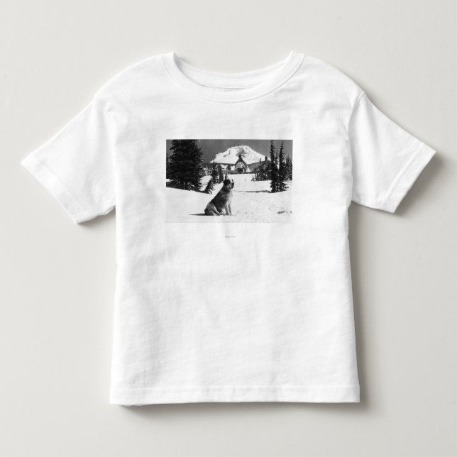 Timberline Lodge und "Lady" die Besitzerin Kleinkind T-shirt (Vorderseite)