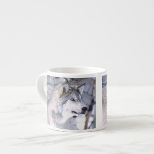 Timberwolf, Canis lupus, Film Tier Utah) Espressotasse