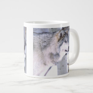 Timberwolf, Canis lupus, Film Tier Utah) Jumbo-Tasse
